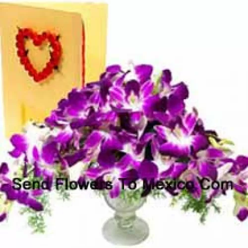 Orchidées dans un vase avec une carte de vœux gratuite (Veuillez noter que les orchidées fournies avec ce produit peuvent être non fleuries)