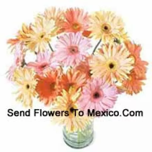 24 Mixed Colored Gerberas In A Vase