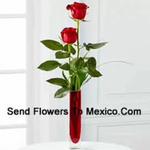 Deux roses rouges dans un vase en tube à essai rouge (Nous nous réservons le droit de substituer le vase en cas de non disponibilité. Stock limité)